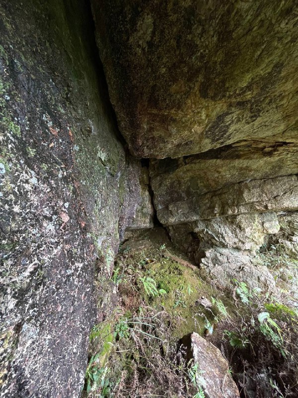 我村最高峰，海拔一千二