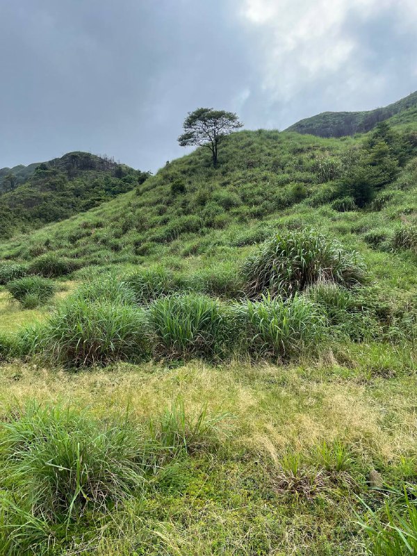 雨徒龙岩草尾山尖，体验感拉满